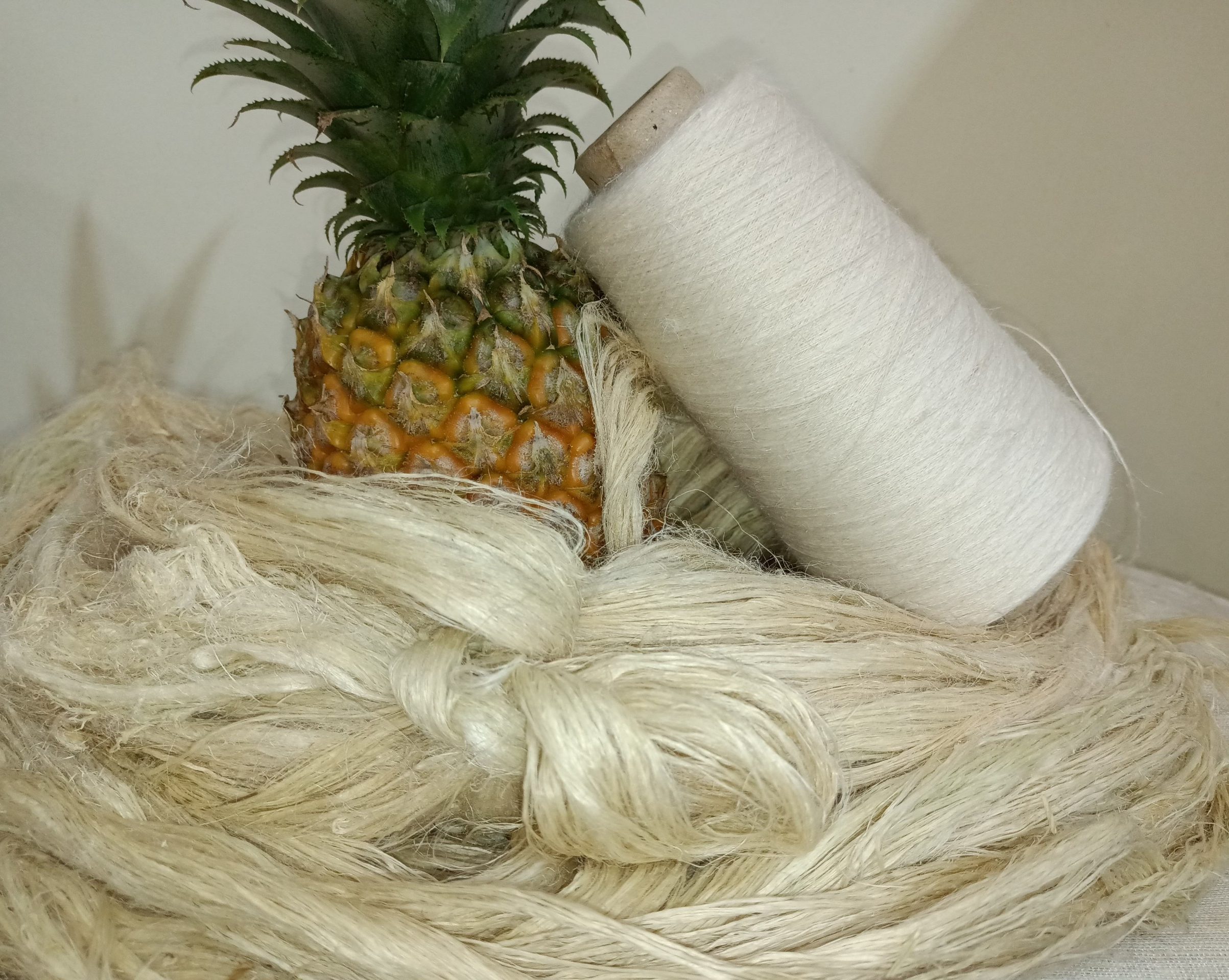 Pineapple Fibre & Yarns